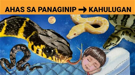 simbolo ng ahas sa panaginip|Alamin ang tungkol sa pagkakita ng ahas sa isang panaginip ni .